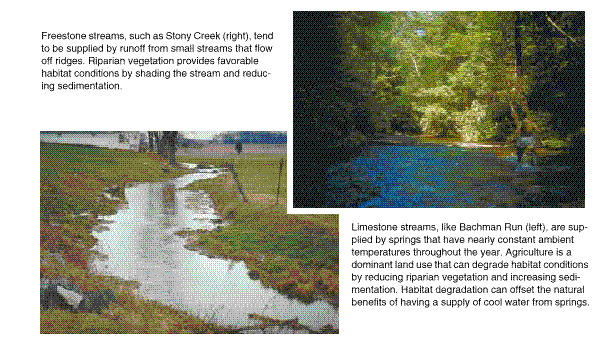 USGS CIRC 1168 subpage: Biological communities and stream habitat