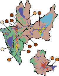 trace element map