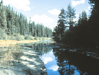 Photo showing Truckee River