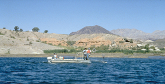 Photo showing electrofishing