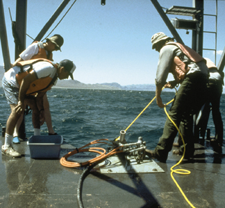 bottom-sediment samples photo