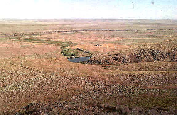 Ridge above Wickahoney Spring