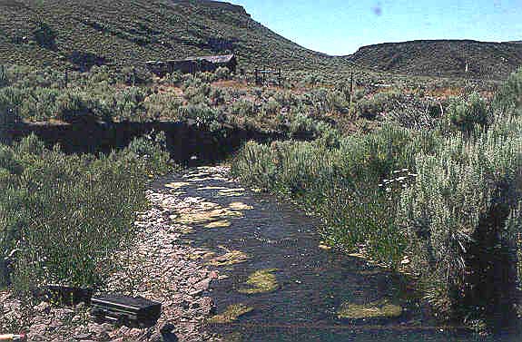 Duncan Creek at Buncel Place