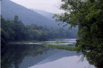 Greenbrier River near Seebert, WV.