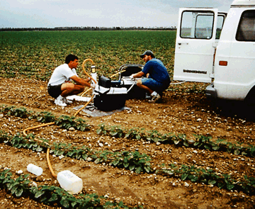 Ground-water sampling, eastern Everglades C-111 agricultural basin.