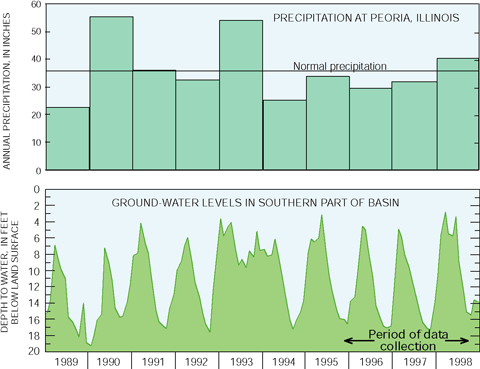 Figure 5. Ground-water conditions were near normal during 1989–98, including the data-collection period. In 1993, the observation-well water level shows the effect of the significant 1993 flood on the shallow ground water. (Data from K. Hlinka, Illinois State Water Survey, and National Weather Service.)