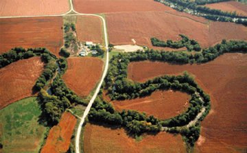 Digital images derived from USGS topographic maps were used to estimate the percentage of trees in a riparian buffer zone (a 100-meter width on each side of the stream) for 2- to 3-mile segments upstream from each sampling site, supplemented by vegetation surveys at the sampling site.