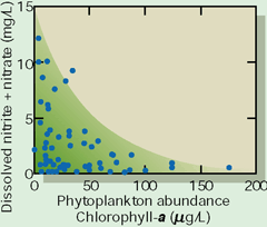 Dissolved nutrient concentrations decreased in eutrophic streams with excessive algal productivity. Rates of nutrient uptake by the algae can exceed rates at which nutrients are transported by streams during low-flow conditions.