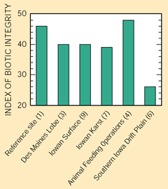 Figure 28. Healthy fish populations were present in one of the least affected (reference) and one of the most affected (animal feeding operations) streams in the study area. Factors other than water quality (stream habitat) also have an important effect on fish populations. (Site number in parentheses; see site map in “Study Unit Design” Section.)