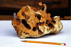 A typical Edwards aquifer sample more permeable than the Trinity aquifer, even without faults or fractures.