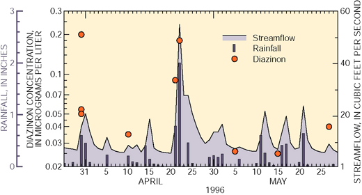 Figure 15. Peak concentrations of diazinon in Thornton Creek often occurred during spring rainstorms, which can produce an inch or more of rain in a day.