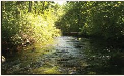 Photo of Ipswich River before drought