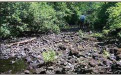 Photo of Ipswich River during drought