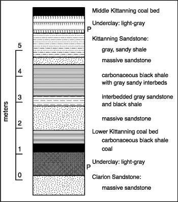 Stratigraphic section, Middle Pennsylvanian 
       Allegheny Formation. For a more detailed explanation, contact Blaine Cecil at bcecil@usgs.gov