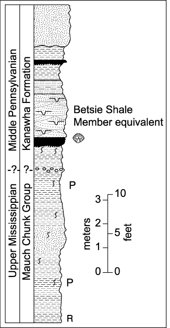 Stratigraphic section of the Mississippian-Pennsylvanian unconformity along Interstate 68 at Exit 15. For a more detailed explanation, contact Blaine Cecil at bcecil@usgs.gov