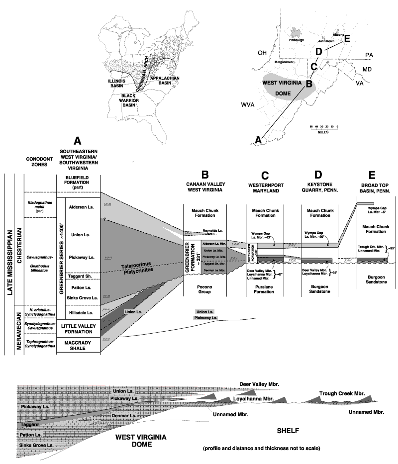 Conodont biostratigraphy and correlations of Greenbrier age strata from southeastern
       West Virginia/southwestern Virginia to south-central Pennsylvania.For a more detailed explanation, contact Blaine Cecil at bcecil@usgs.gov