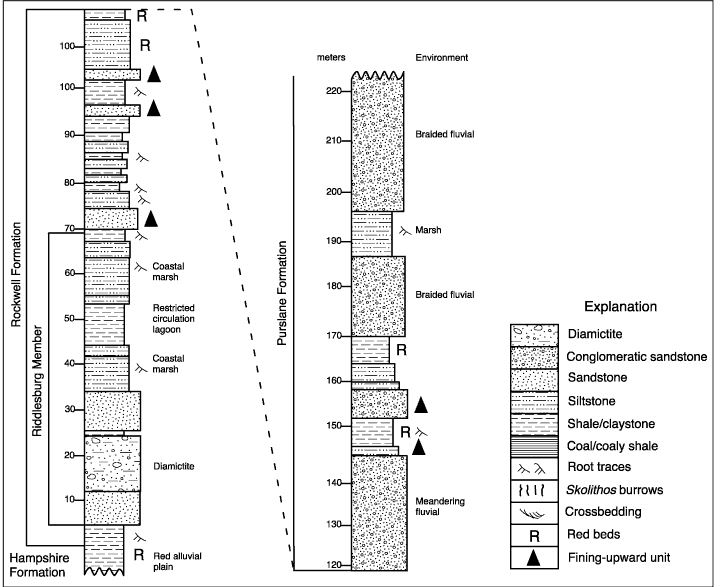 Stratigraphic section exposed at Stop 11 and interpreted depositional environments. For a more detailed explanation, contact Blaine Cecil at bcecil@usgs.gov