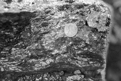 Photograph of a felsic rock composed of lens-shaped inclusions of older felsic rock. For a more detailed explanation, contact Jonathan Tso at jtso@radford.edu.