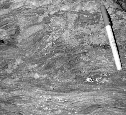 Photograph of chlorite metasiltstone and phyllonite of the Blockhouse Point domain of the Mather Gorge Formation. For a more detailed explanation, contact Michael Kunk at mkunk@usgs.gov.