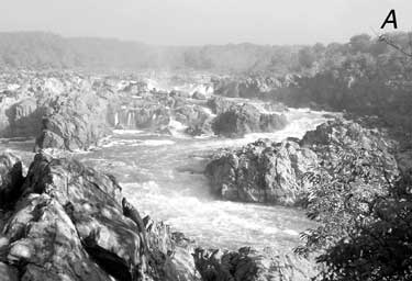 Photograph taken at Stop 4, Great Falls Park, Va., looking north at steeply dipping layers of folded metagraywacke and schist of the Mather Gorge Formation in the Potomac River at the type-locality. For a more detailed explanation, contact Michael Kunk at mkunk@usgs.gov.