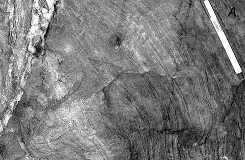 Photograph showing the intersection of
      laminated bedding with cleavage that is parallel to the outcrop face and page. For a more detailed explanation, contact Michael Kunk at mkunk@usgs.gov.