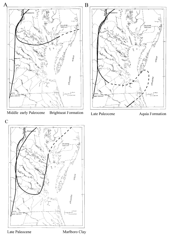Maps showing depositional basins in the Salisbury embayment during the Paleocene. For a more detailed explanation, contact Lauck Ward at  lwward@vmnh.net.