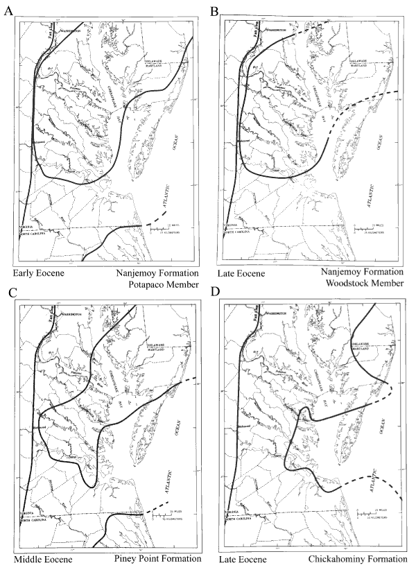 Maps showing depositional basins in the Salisbury embayment during the Eocene. For a more detailed explanation, contact Lauck Ward at  lwward@vmnh.net.