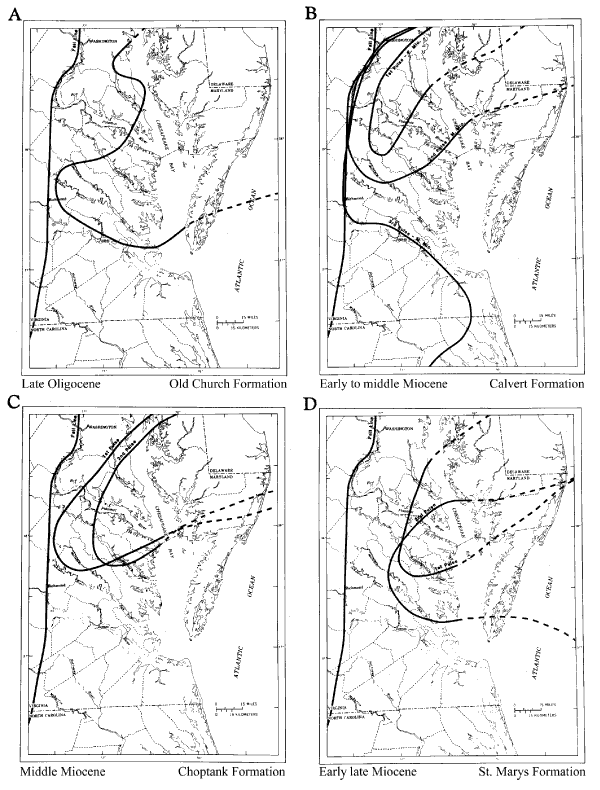 Maps showing depositional basins in the Salisbury embayment from the late Oligocene through the middle Miocene. For a more detailed explanation, contact Lauck Ward at  lwward@vmnh.net.