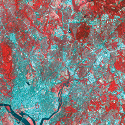 Figure 1b.   Landsat 5 TM 1991 false-color satellite image showing part of the Washington, D.C., metropolitan area.
