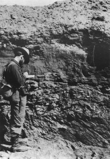 Figure 20. Photo shows a Survey geologist examining gold-bearing
gravels near Nome, Alaska, 1901.