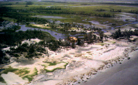 Photo of Isle of Palms