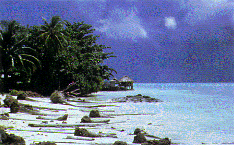Photo of South Pacific