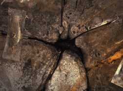 Photograph of an in-situ fossilized tree base and root
      system in the roof of an underground coal mine.