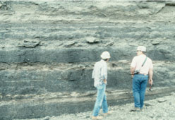Photograph of San Miguel lignite beds of Eocene age in a coal strip mine in Texas