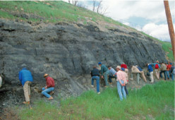 Photograph of geologists examining a roadcut exposing the bituminous Pennsylvanian Pittsburgh coal bed, near Morgantown,
        W. Va.