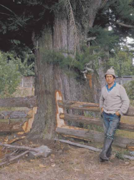 photo of man standing beside tree