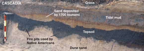 photo of sand in the streambank from the Cascadia tsunami