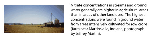 photo page 1 - 
Nitrate concentrations
in streams and ground water generally are higher in agricultural areas
than in areas of other land uses.  The highest concentrations were
found in ground water from areas intensively cultivated for row crops
(farm near Martinsville, Indiana; photograph by Jeffrey Martin).