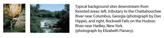 photos page 14 - Typical background sites downstream from forested areas: left,
tributary to the Chattahoochee River near Columbus, Georgia
(photograph by Dan Hippe), and right, Rockwell Falls on the Hudson
River near Hadley, New York (photograph by Elizabeth Flanary).