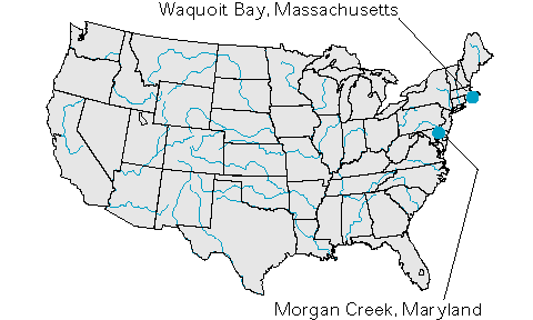 Figure-O-Map