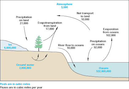 water cycle diagram labeled for teenagers