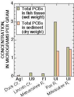 PCBs in fish tissue and sediment