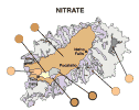 Map:Nitrates