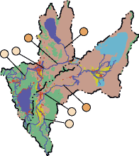 stream habitat map