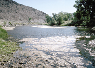 Photo showing Truckee River