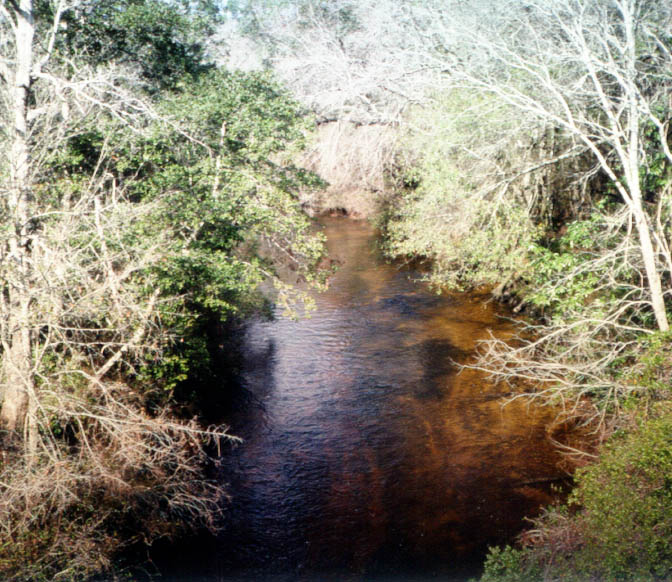 Blackwater Creek near gage