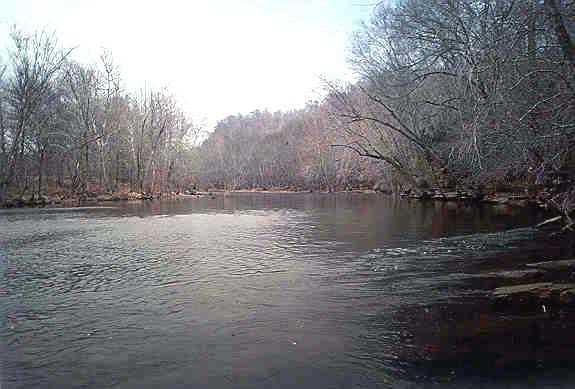 Buffalo River near the gage