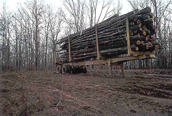 Logging truck in the area