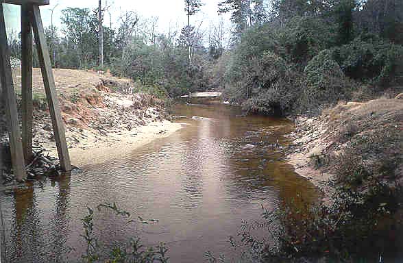 Cypress Creek near the gage