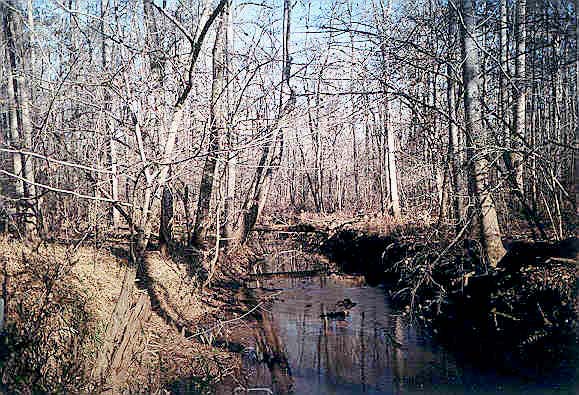 Hillsboro Creek